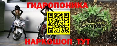 дживик Нальчик